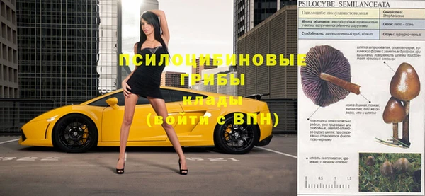 каннабис Новозыбков